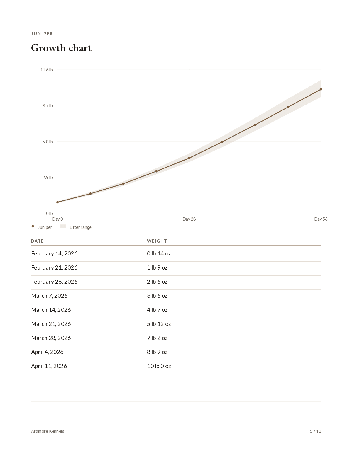 A puppy growth chart: one plotted line for this puppy’s weights over eight weeks, with a faint band behind it showing the range across the whole litter.