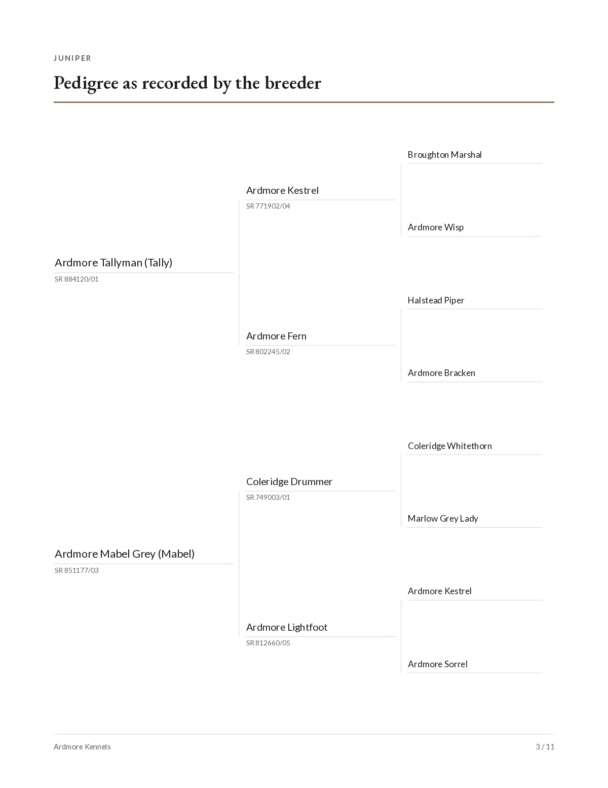 A three-generation dog pedigree chart headed “as recorded by the breeder”, with the sire’s line above and the dam’s line below.