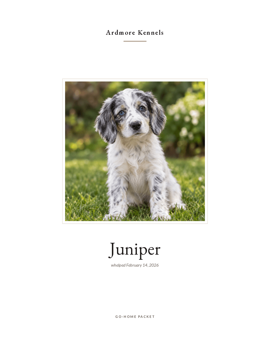 The cover of a finished puppy go home packet, set in a warm serif: the kennel name across the top, a large photograph of the puppy, her name below it, and the date she was whelped.