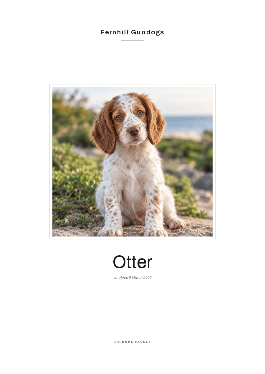 The cover of a puppy pack from a British gundog kennel, set in a plain sans-serif: the kennel name across the top, a large photograph of the puppy, her name below it, and the date she was whelped in day-month-year order.