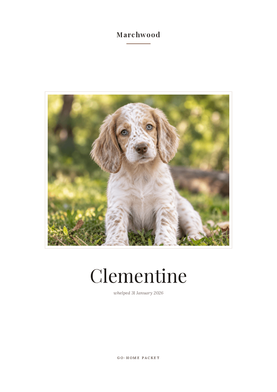 The cover of a show kennel’s puppy packet, set in a high-contrast serif: the kennel name across the top, a large photograph of the puppy, her name below it, and the date she was whelped.